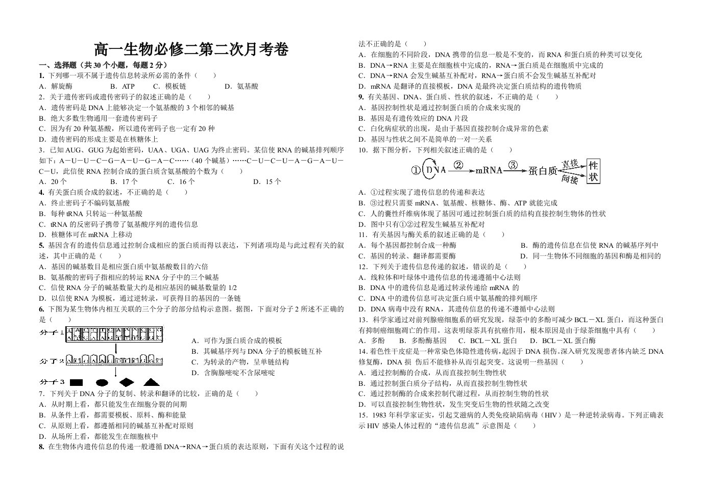 生物必修二第二次月考卷