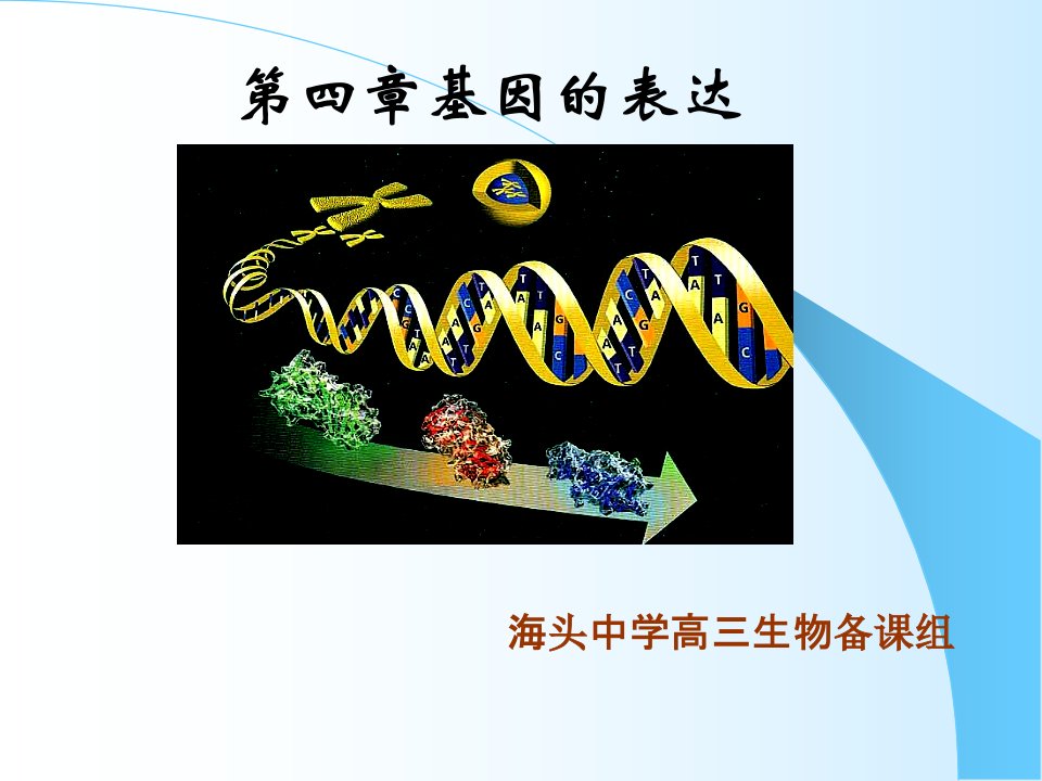 人教版教学课件基因指导蛋白质合成复习课件