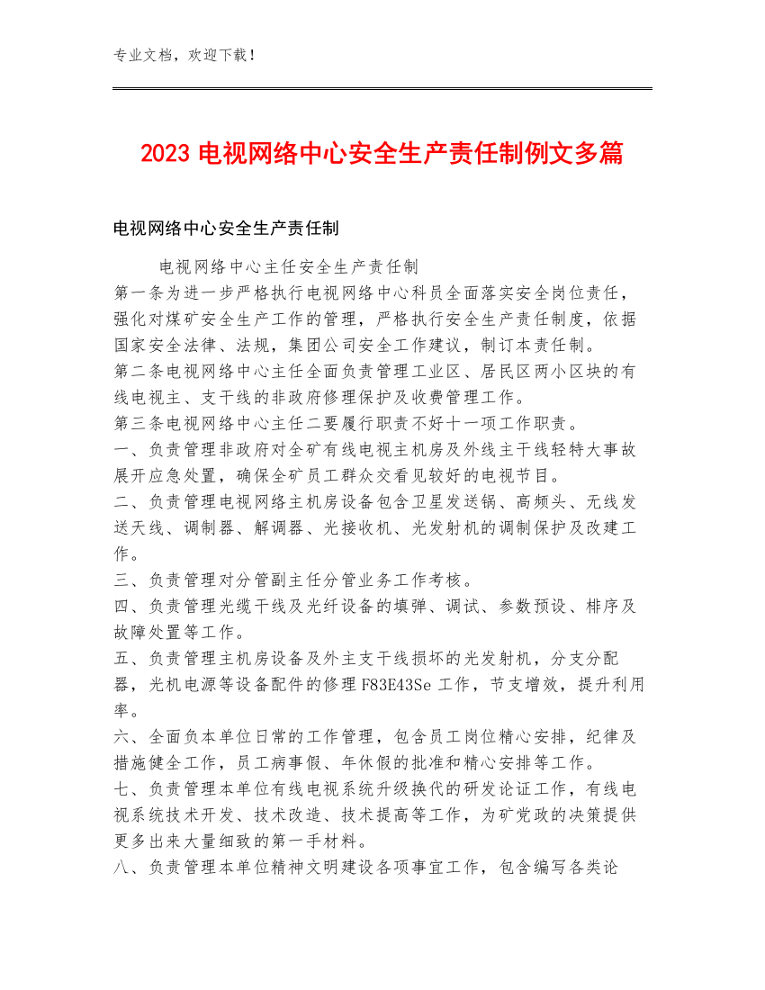 2023电视网络中心安全生产责任制例文多篇