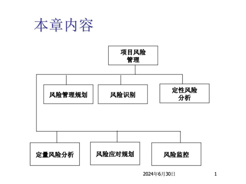 风险管理-项目风险管理25628826