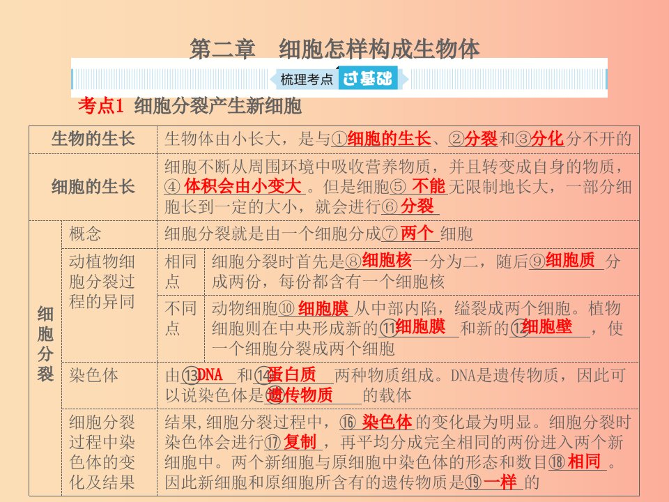 聊城专版山东省2019年中考生物总复习第二单元生物体的结构层次第二章细胞怎样构成生物体课件