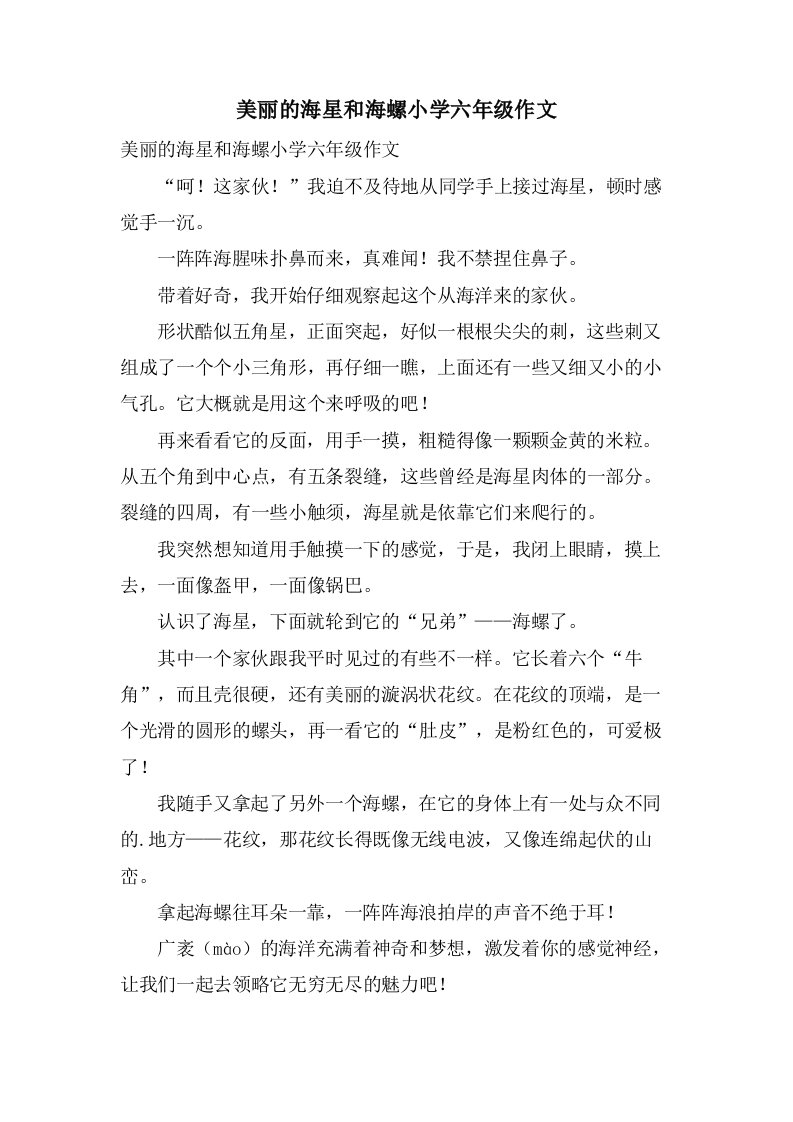 美丽的海星和海螺小学六年级作文