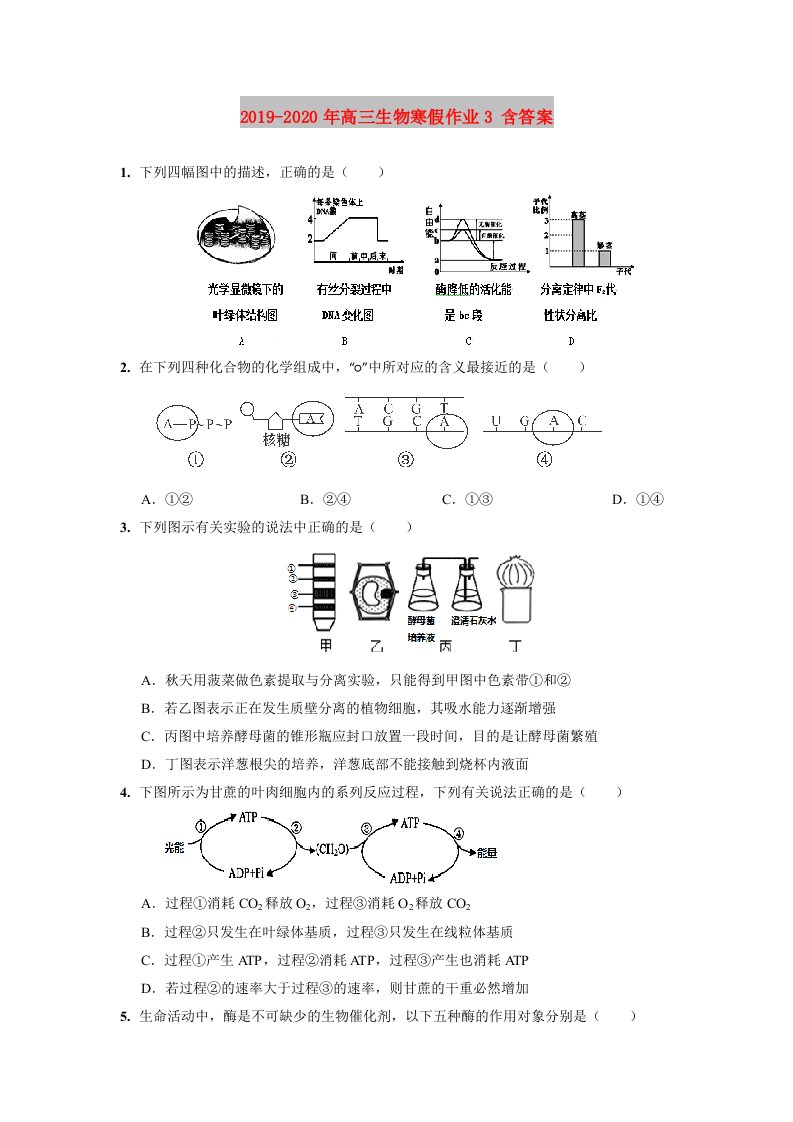 2019-2020年高三生物寒假作业3