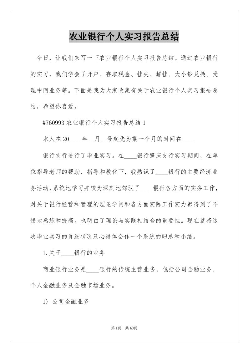 农业银行个人实习报告总结