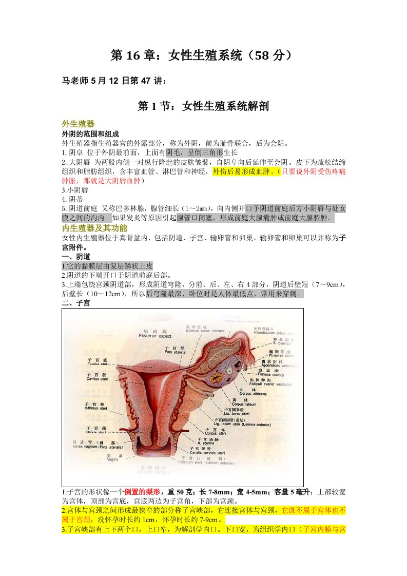 女性生殖系统学习笔记