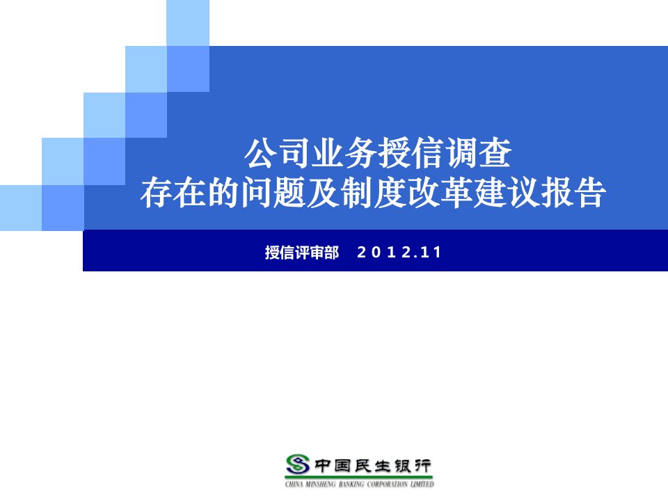 公司业务授信调查存在的问题及调查制度改革建议报告(培训版123)新编