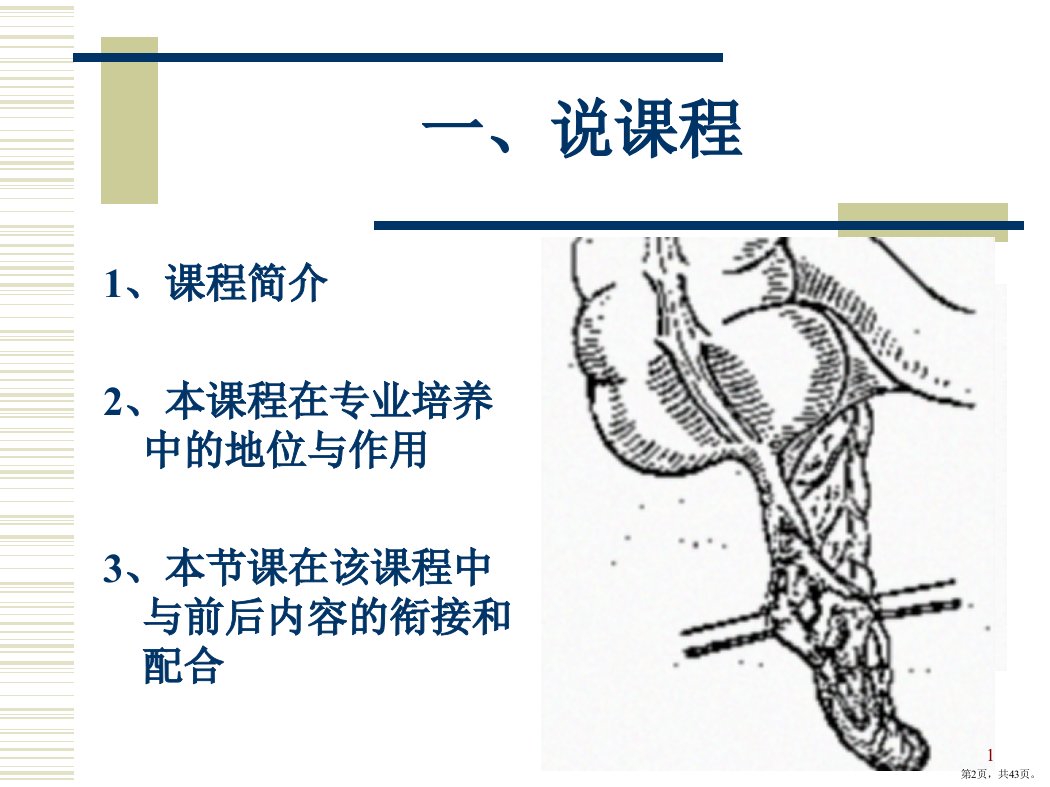 急性阑尾炎说课ppt课件PPT43页