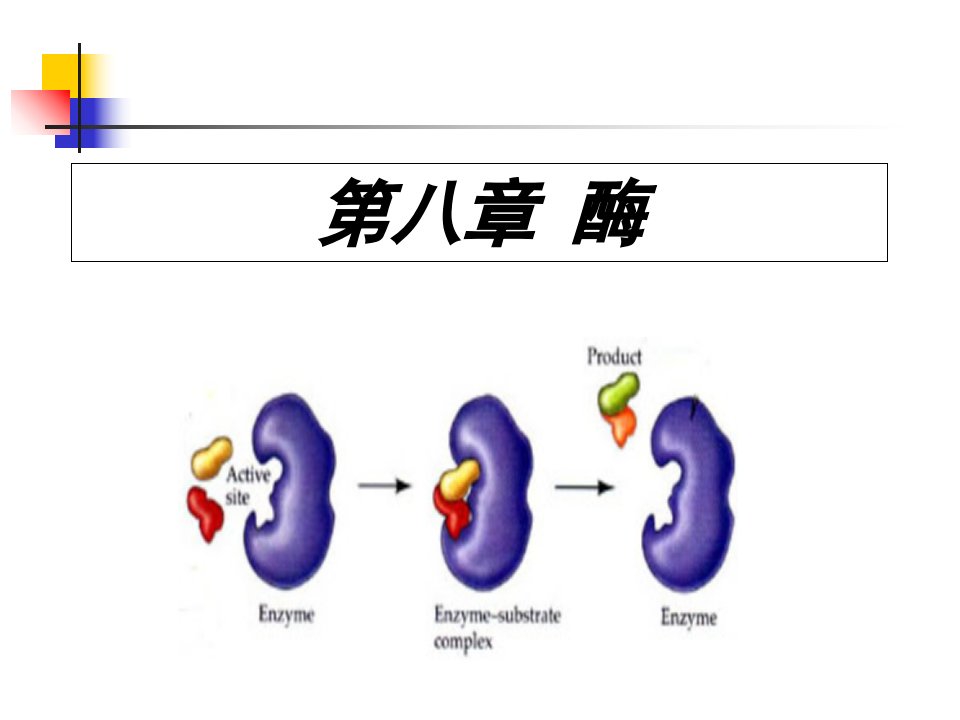 食品化学