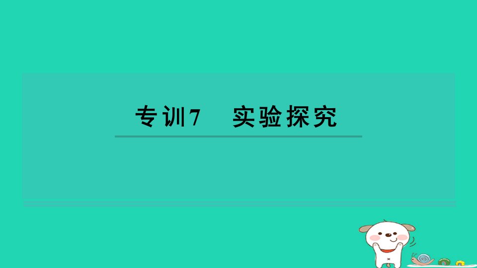 2024九年级化学下册专训7实验探究习题课件鲁教版