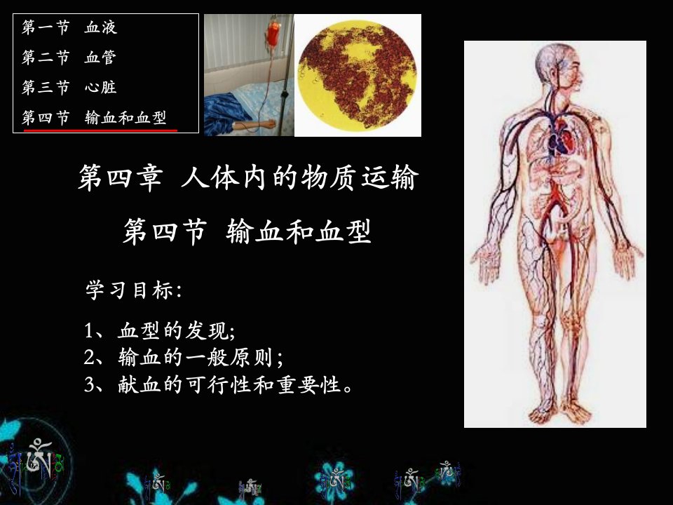 《公开课输血与血型》PPT课件