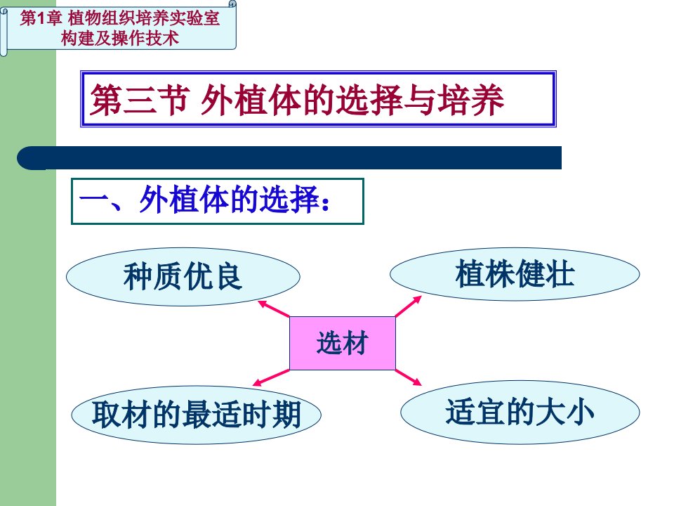 植物组织培养学