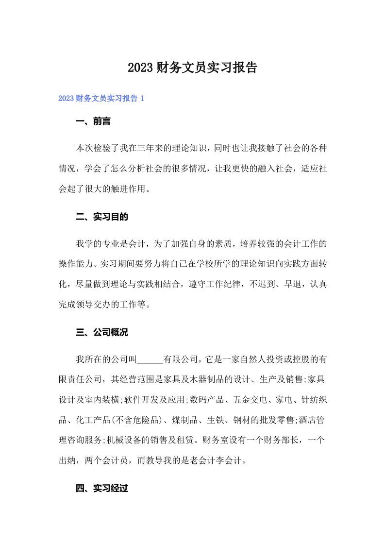 2023财务文员实习报告