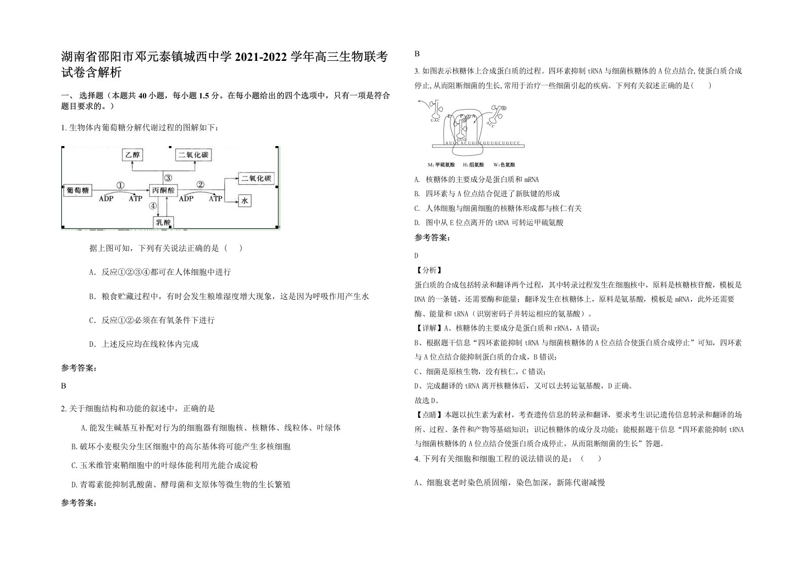 湖南省邵阳市邓元泰镇城西中学2021-2022学年高三生物联考试卷含解析