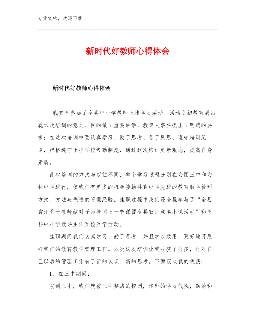 2023新时代好教师心得体会例文24篇文档选编