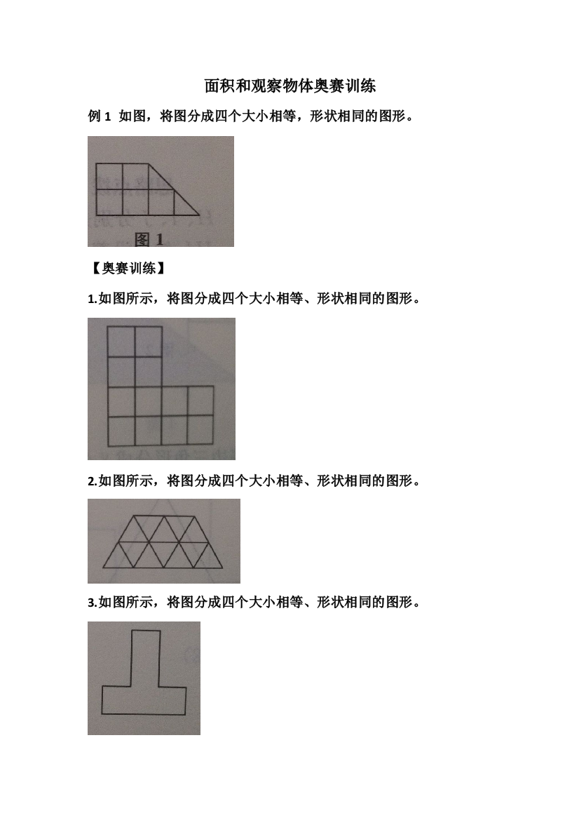 五年级奥数面积和观察物体