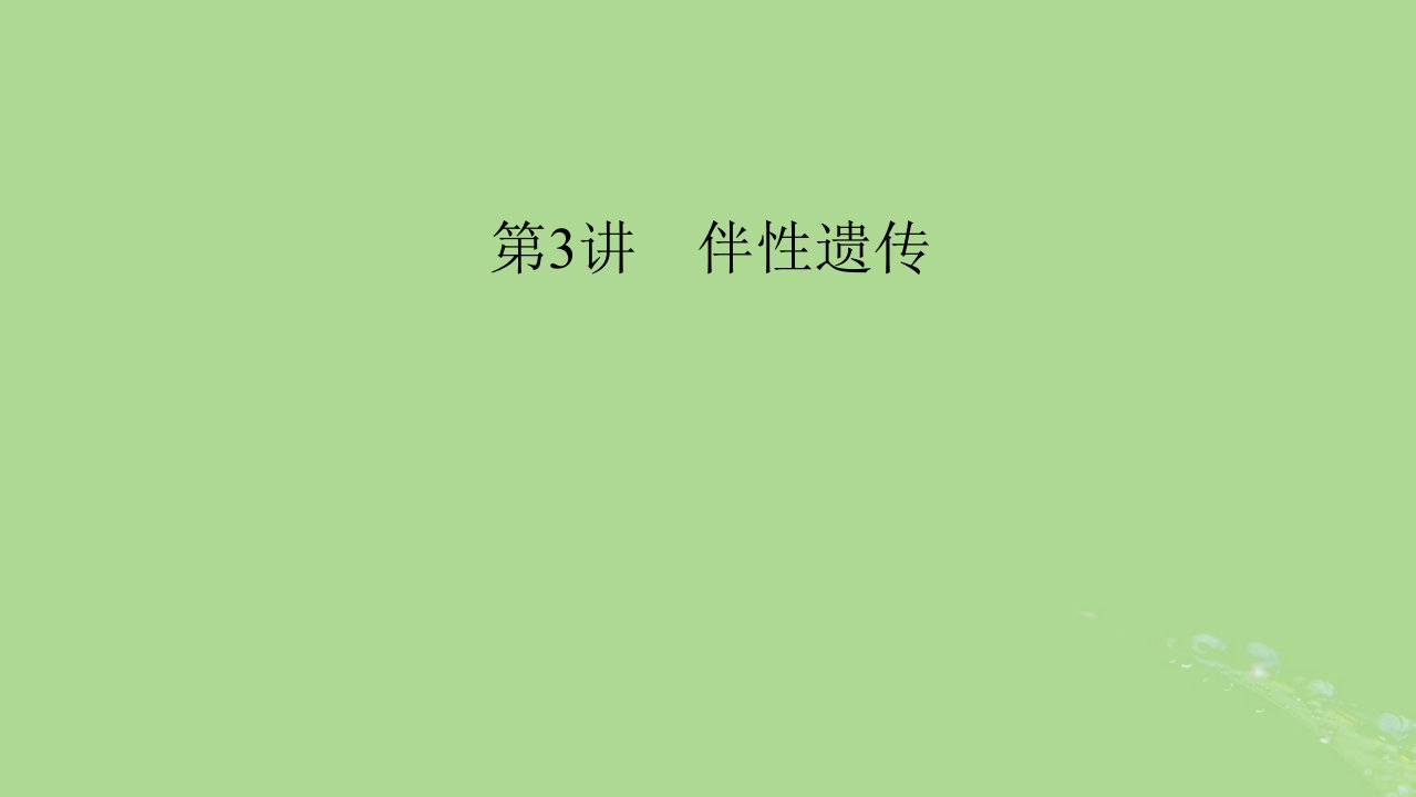 2025版高考生物一轮总复习必修2第5单元孟德尔定律和伴性遗传第3讲伴性遗传课件