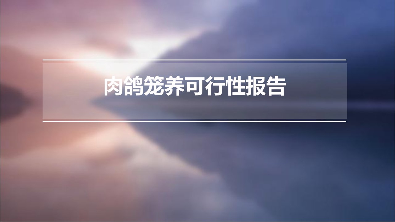 肉鸽笼养可行性报告