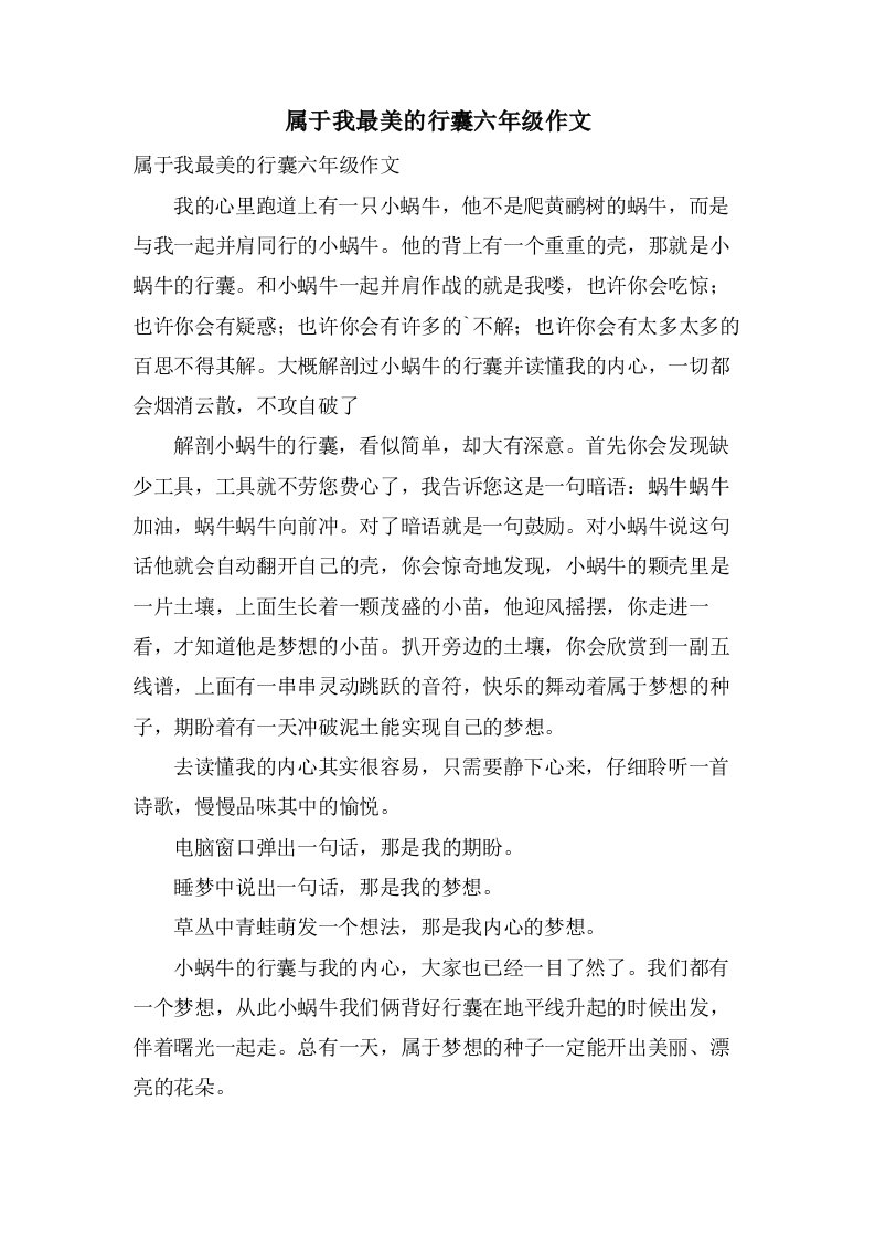 属于我最美的行囊六年级作文