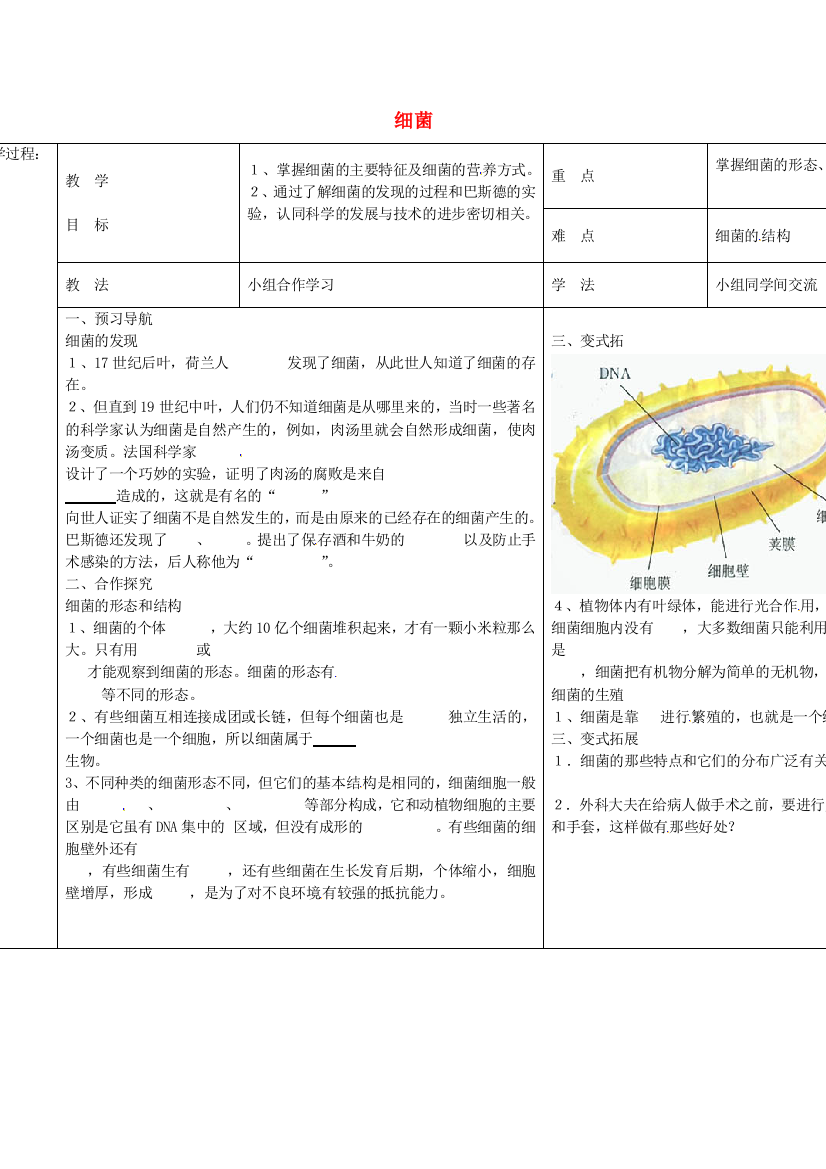 八年级生物上册-542-细菌导学案无答案新版新人教版