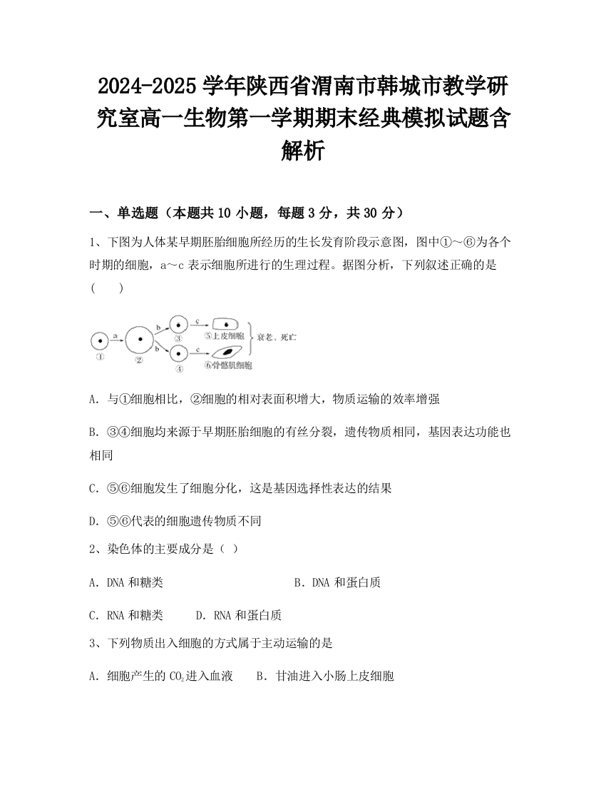 2024-2025学年陕西省渭南市韩城市教学研究室高一生物第一学期期末经典模拟试题含解析