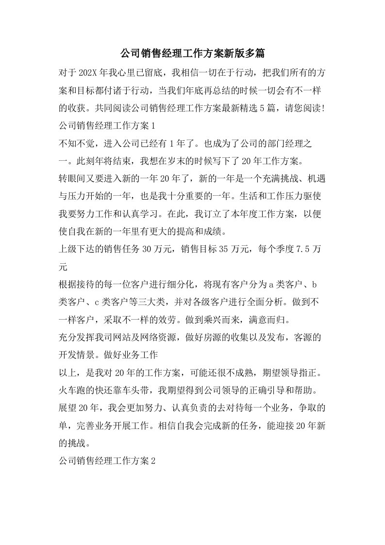 公司销售经理工作计划新版多篇