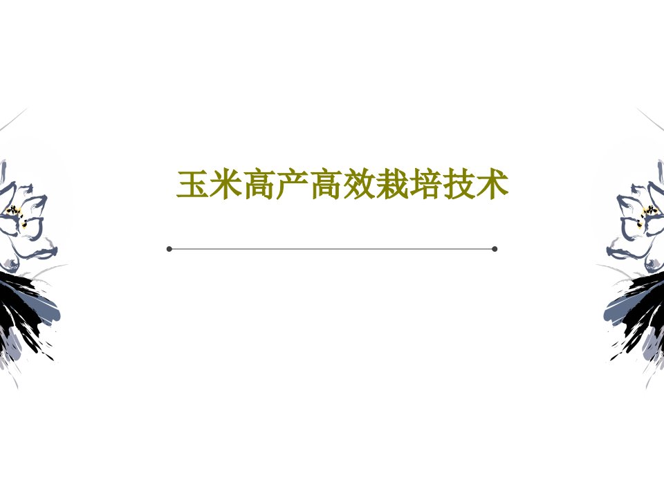 玉米高产高效栽培技术101页文档