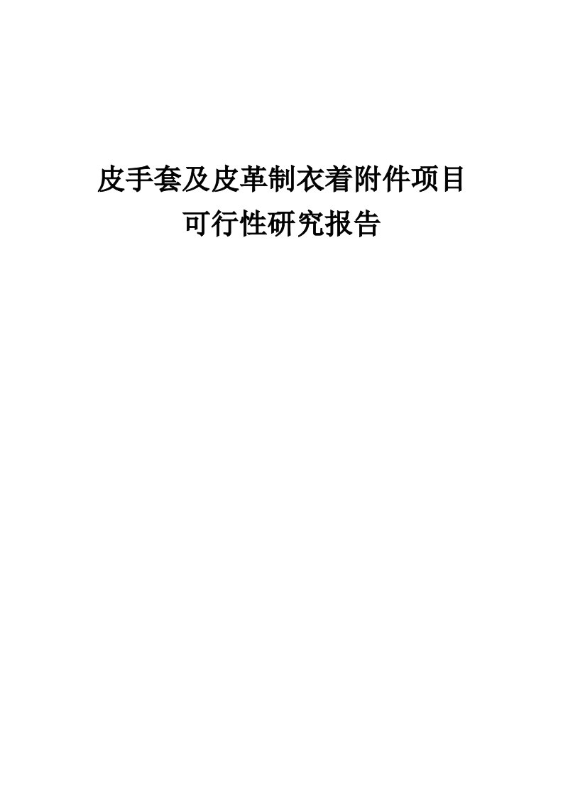 皮手套及皮革制衣着附件项目可行性研究报告