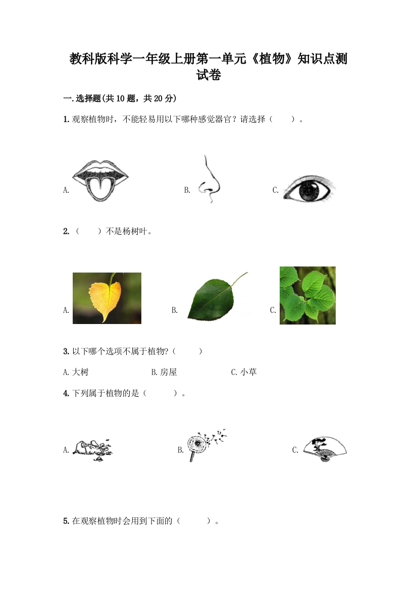 教科版科学一年级上册第一单元《植物》知识点测试卷丨精品(A卷)