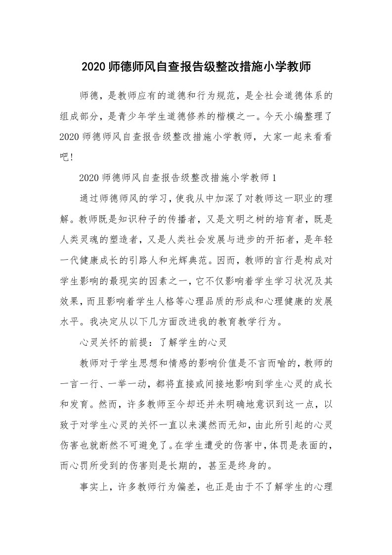 个人报告_2020师德师风自查报告级整改措施小学教师