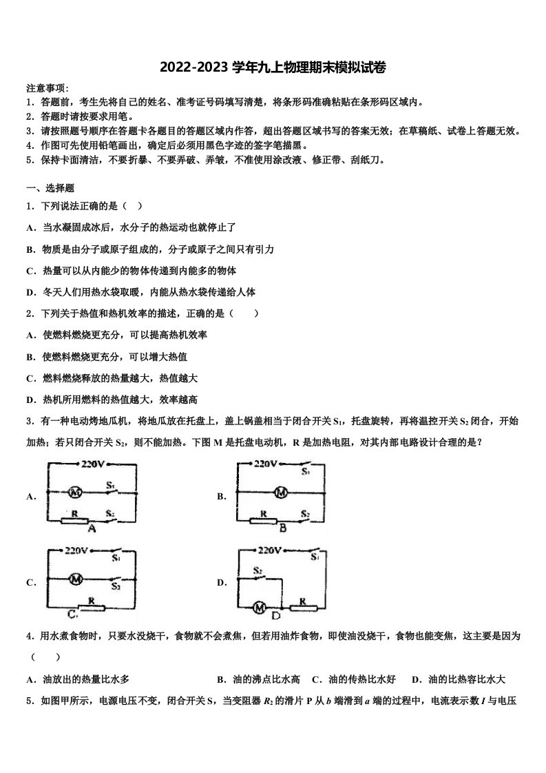 2022年广东省中学山大附属中学九年级物理第一学期期末复习检测模拟试题含解析