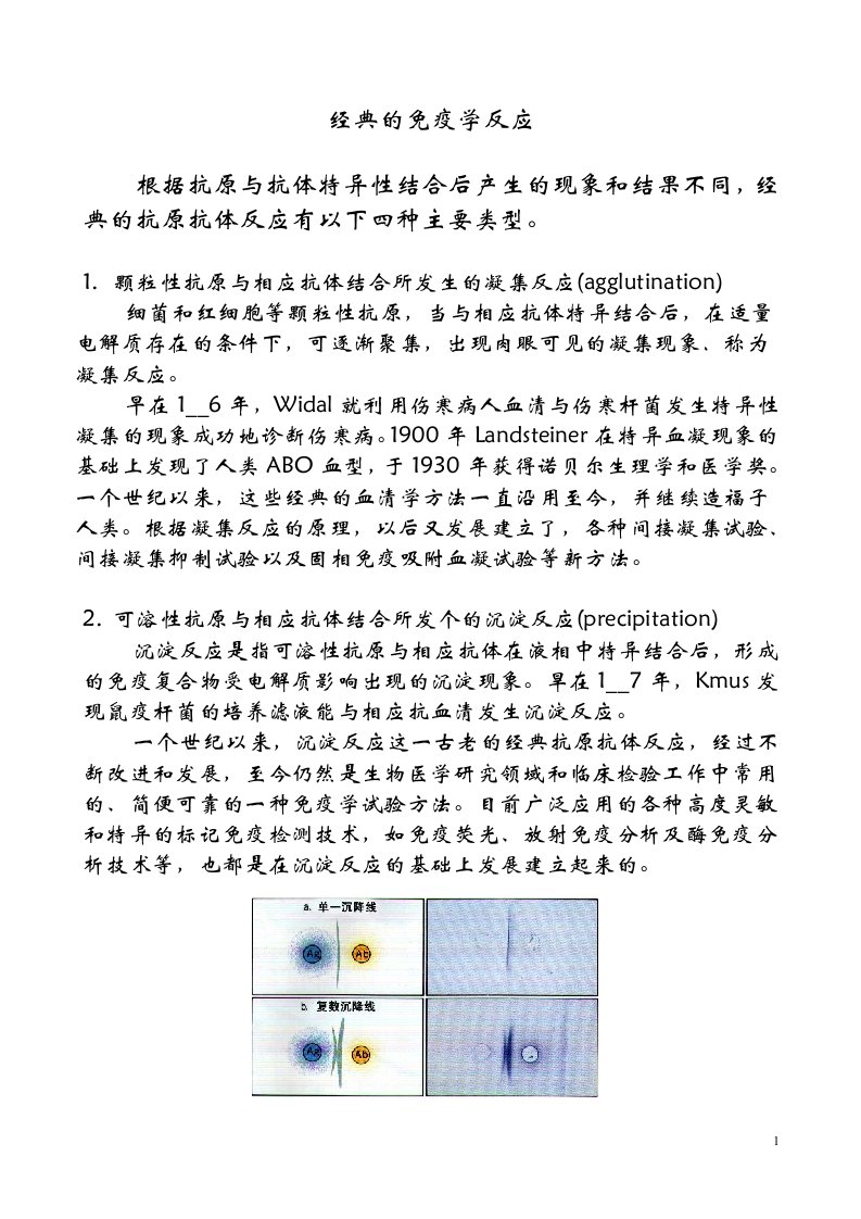 附录6：经典的免疫学反应