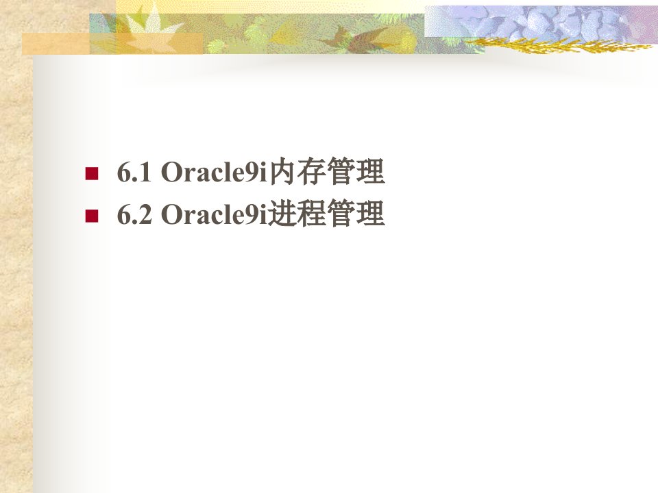 教学课件第六讲Oracle数据库服务器例程