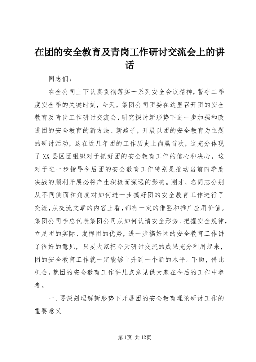 在团的安全教育及青岗工作研讨交流会上的讲话