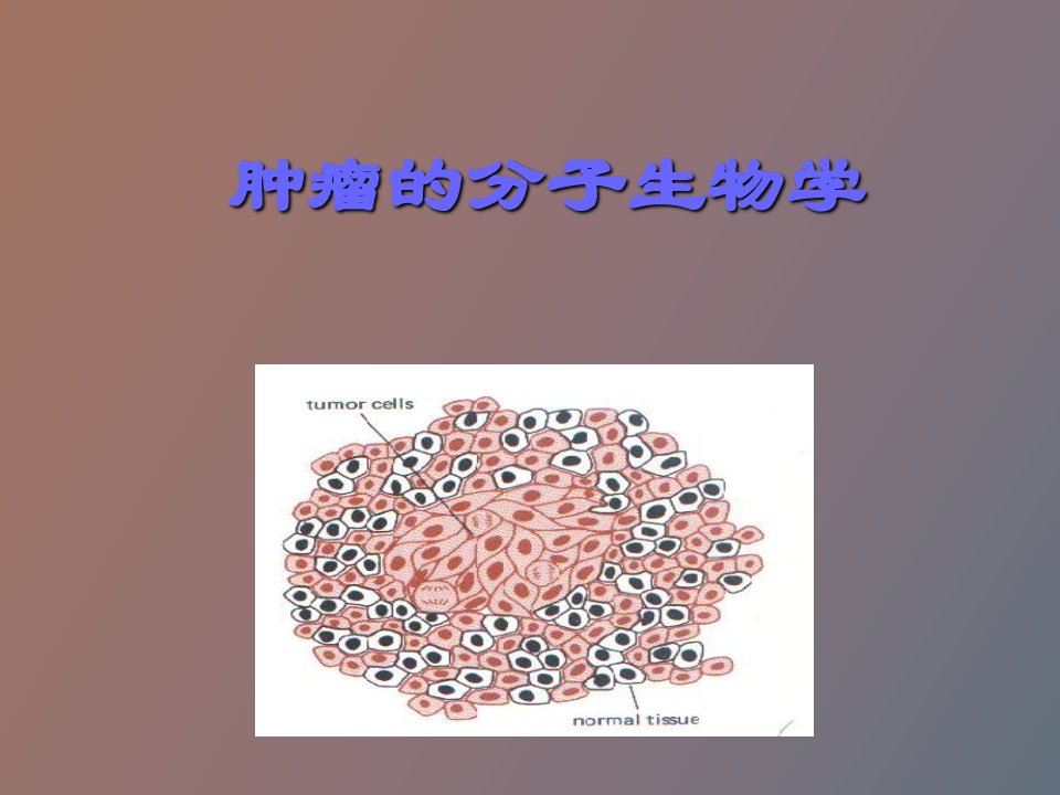 生物化学和分子生物学