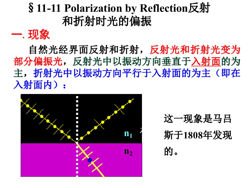 11-11反射光和折射光的偏振-课件（ppt·精·选）