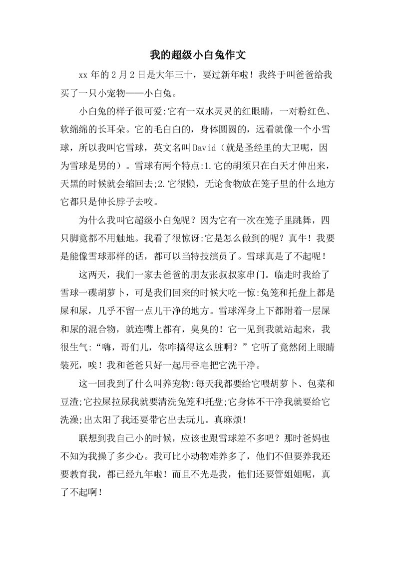 我的超级小白兔作文