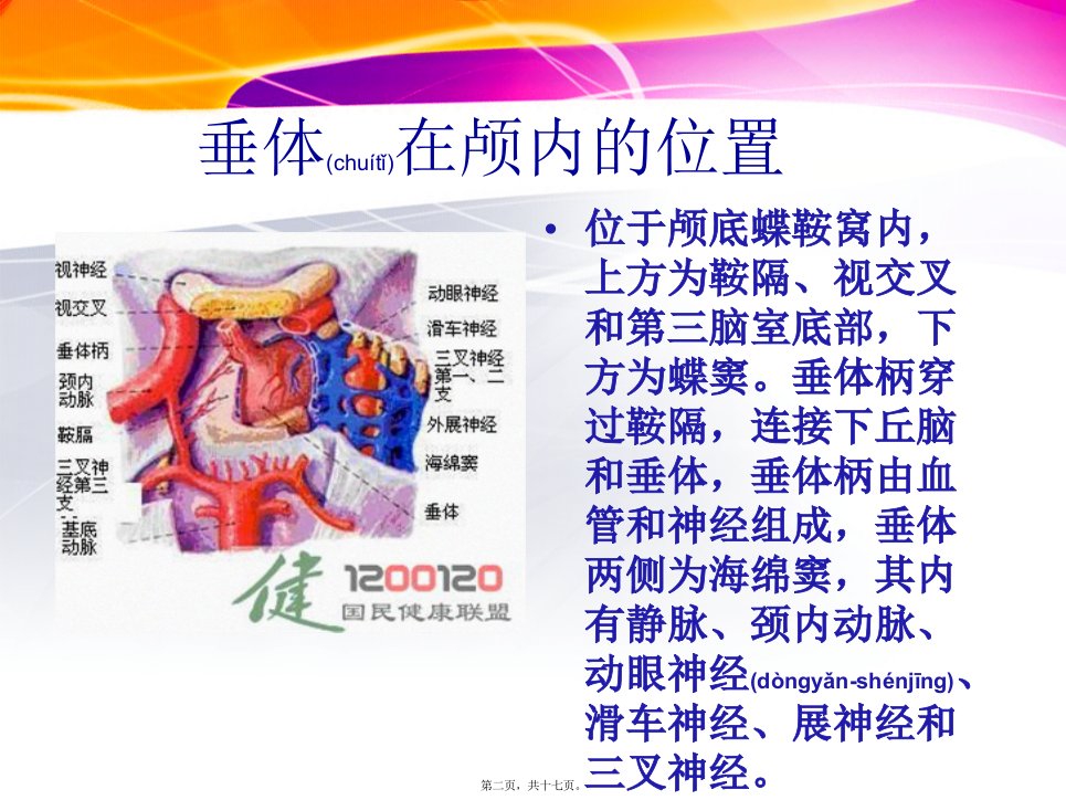 医学专题垂体瘤