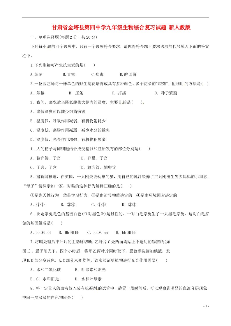 甘肃省金塔县第四中学九级生物综合复习试题