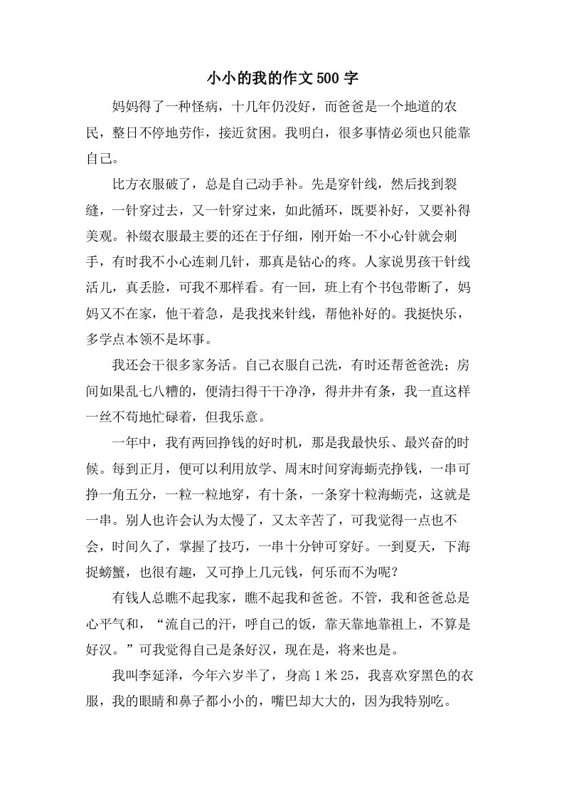 小小的我的作文500字