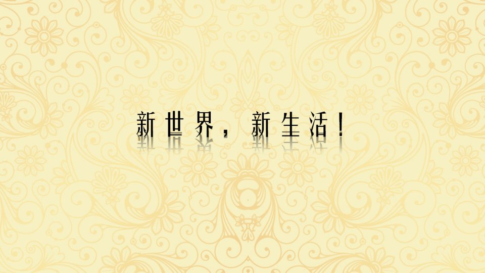 鞍山新世界地产2011秋季房交会策划方案