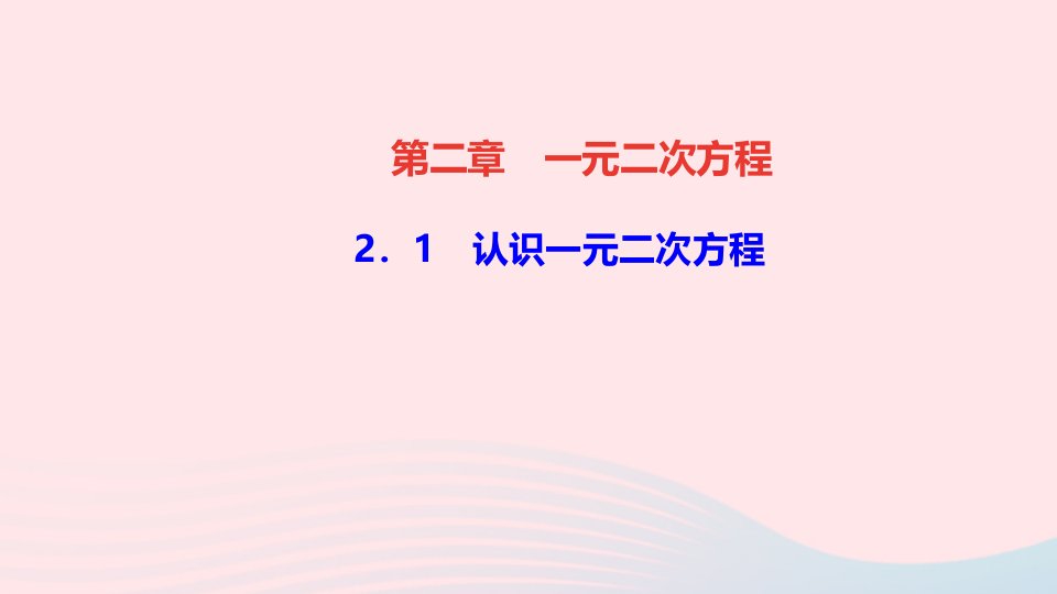 九年级数学上册第二章一元二次方程1认识一元二次方程作业课件新版北师大版