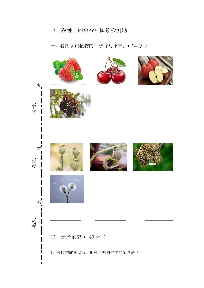 一粒种子的旅行测试题