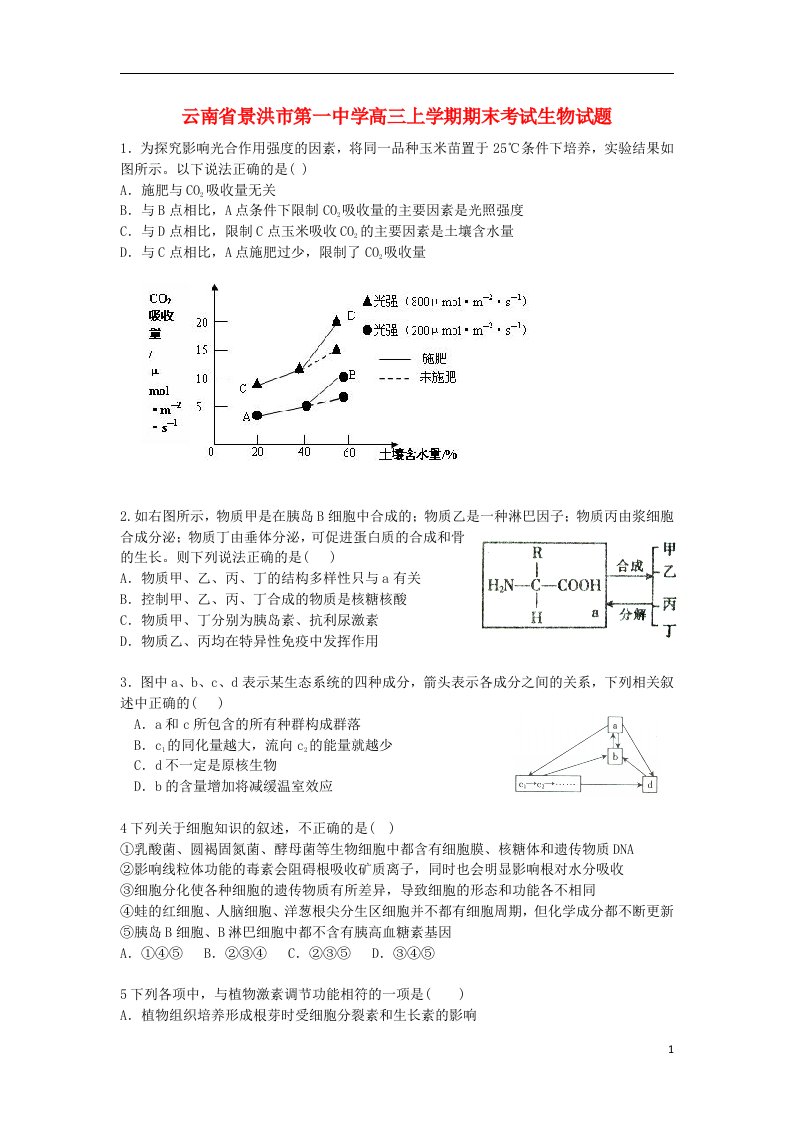 云南省景洪市高三生物上学期期末考试试题（无答案）新人教版