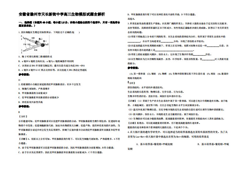 安徽省滁州市天长新街中学高三生物模拟试题含解析