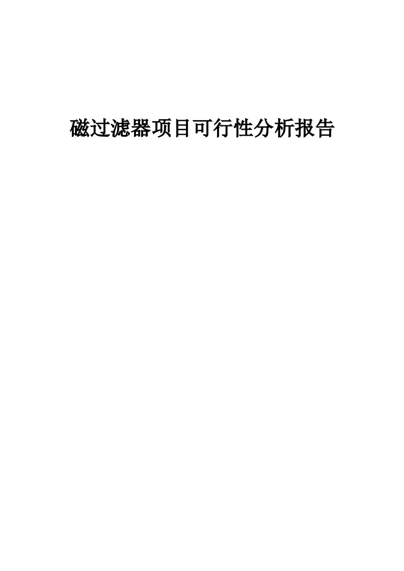 磁过滤器项目可行性分析报告