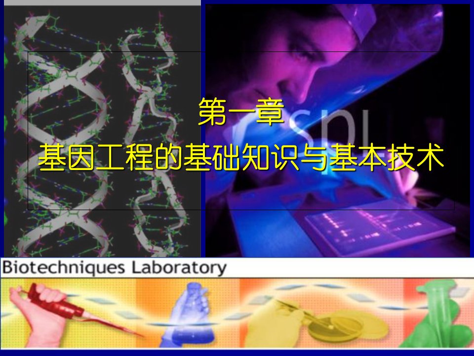 基因工程的基础知识与基本技能