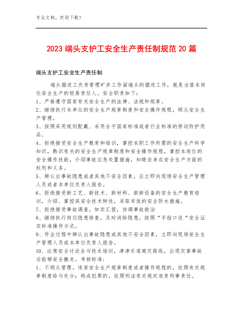 2023端头支护工安全生产责任制规范20篇