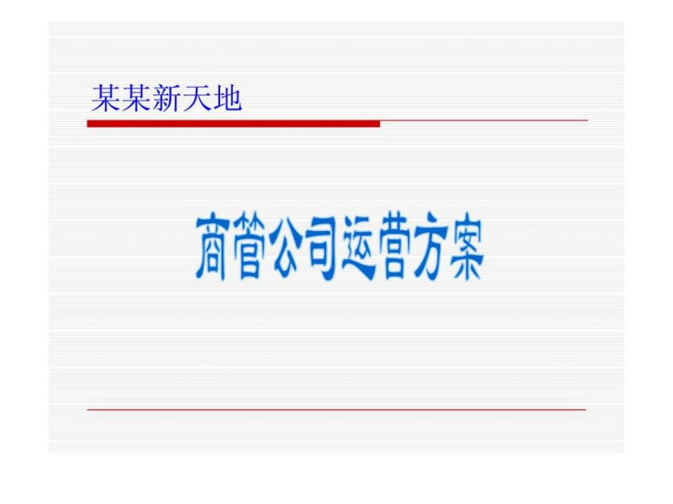 某商业经营管理公司运营方案(5)