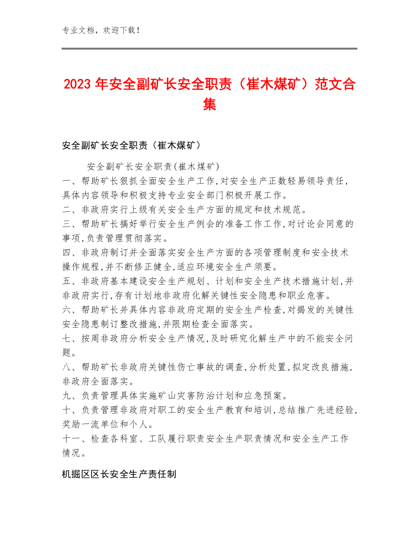 2023年安全副矿长安全职责（崔木煤矿）范文合集