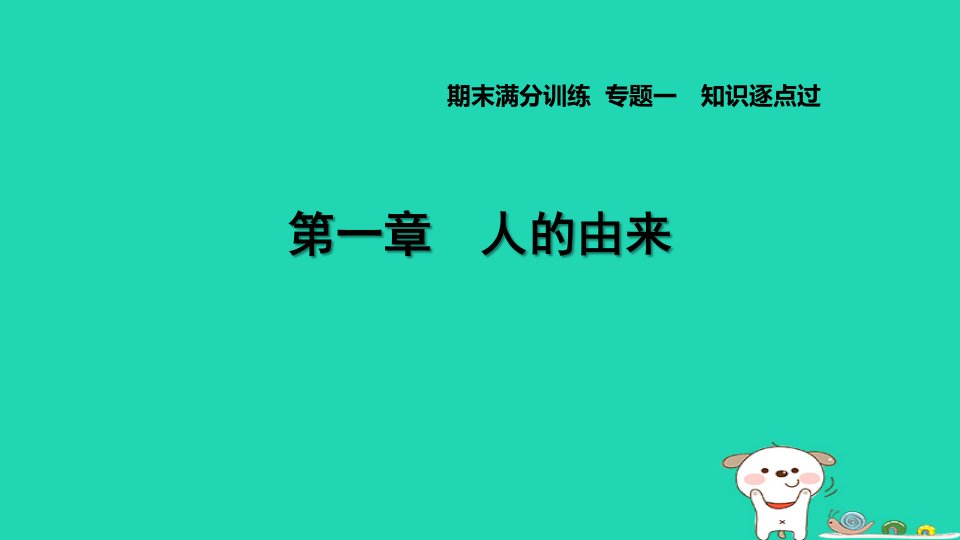 2024七年级生物下册第四单元生物圈中的人第一章人的由来习题课件新版新人教版